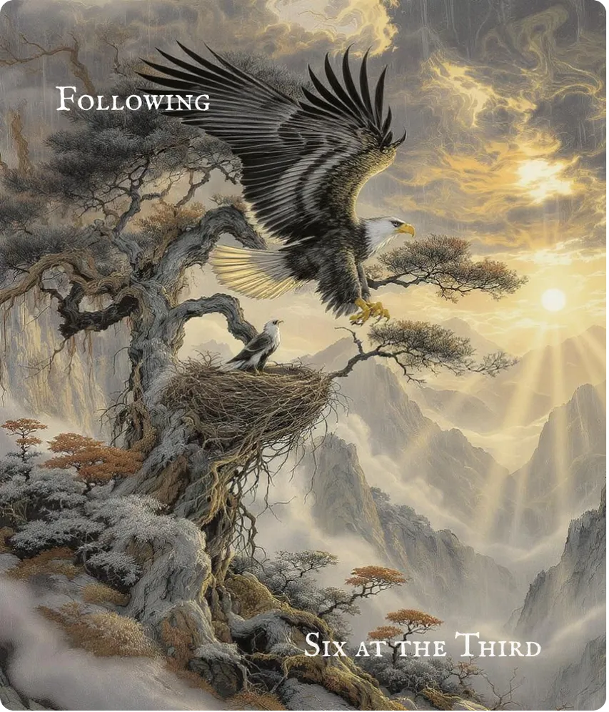 Hexagram 17 Following — Six in the Third Card