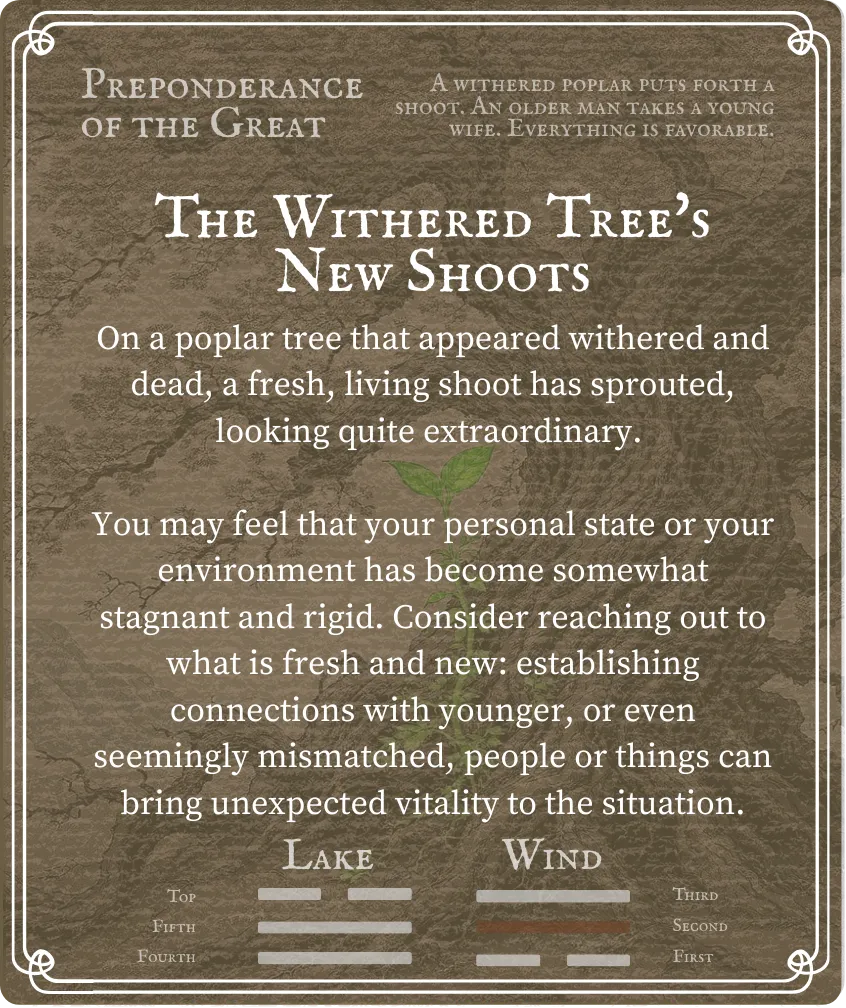 Hexagram 28 Nine in the Second — Back