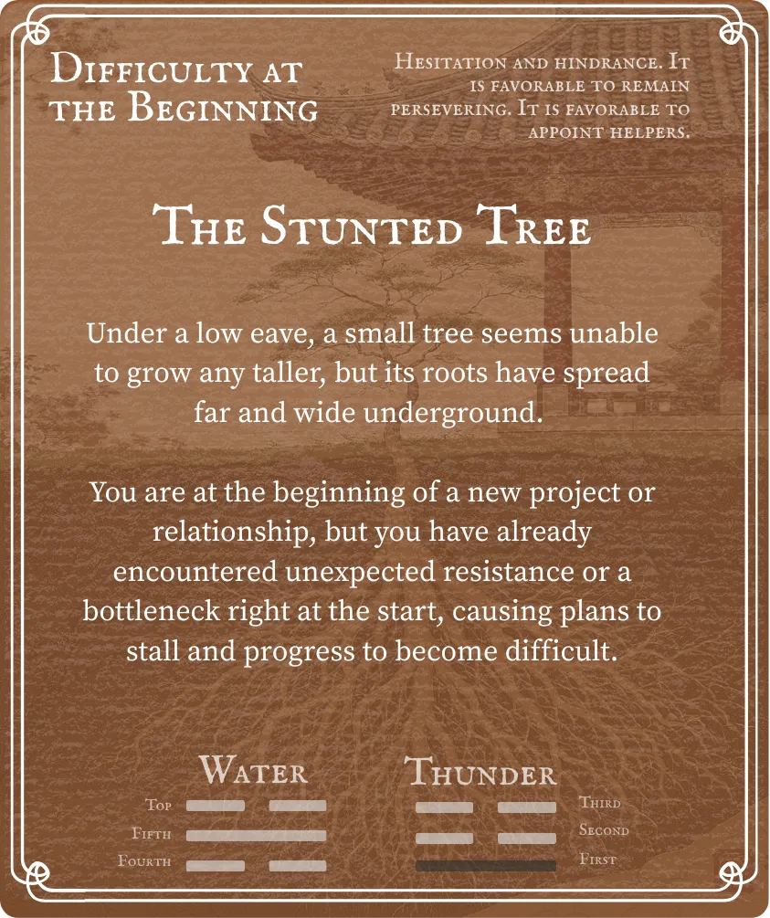 Hexagram 3 Difficulty at the Beginning — First Nine Line Back